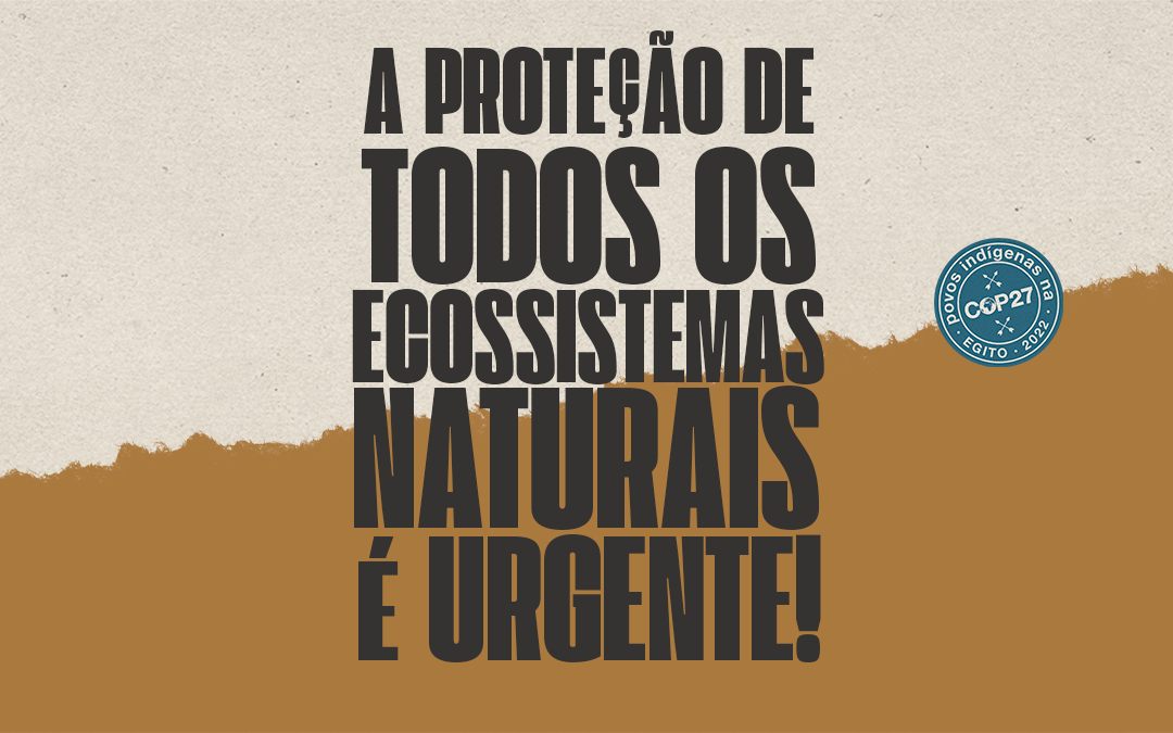 APIB: Sobre proteção urgente do Cerrado e outros ecossistemas naturais