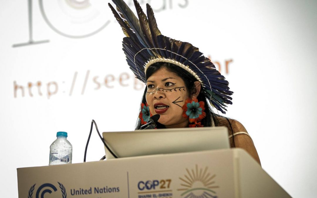 APIB: Povo Guarani leva Mata Atlântica para a COP27