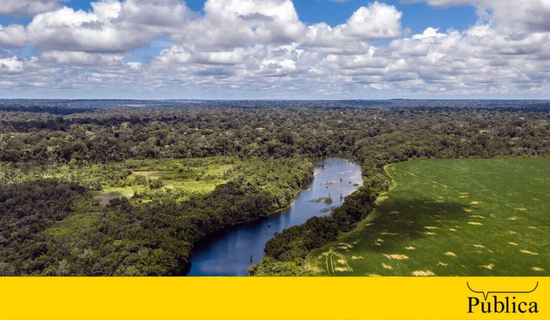 AGÊNCIA PÚBLICA: Flona do Tapajós é modelo de como manter a Amazônia em pé e com renda