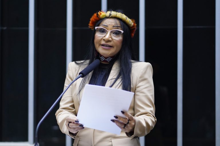 CÂMARA: Deputada pede desenvolvimento econômico de terras indígenas em sessão solene