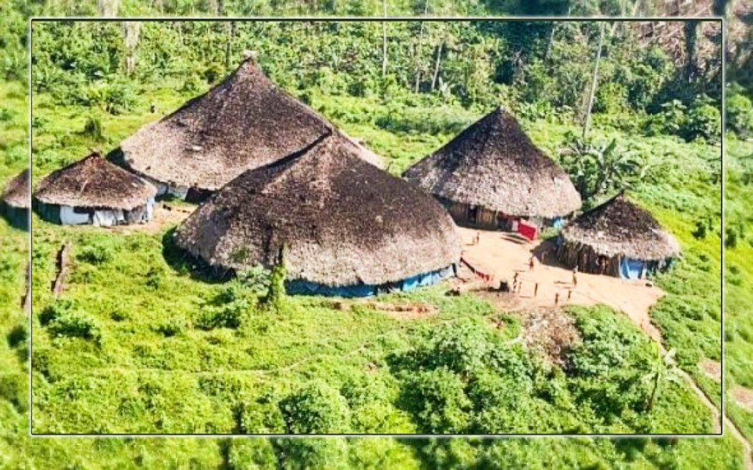 RBA: Censo do IBGE mostra até agora quase 1,7 milhão de indígenas no país