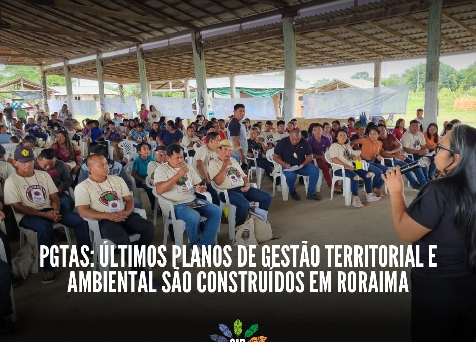 CIR: PGTAs: últimos planos de gestão territorial e ambiental são construídos em Roraima