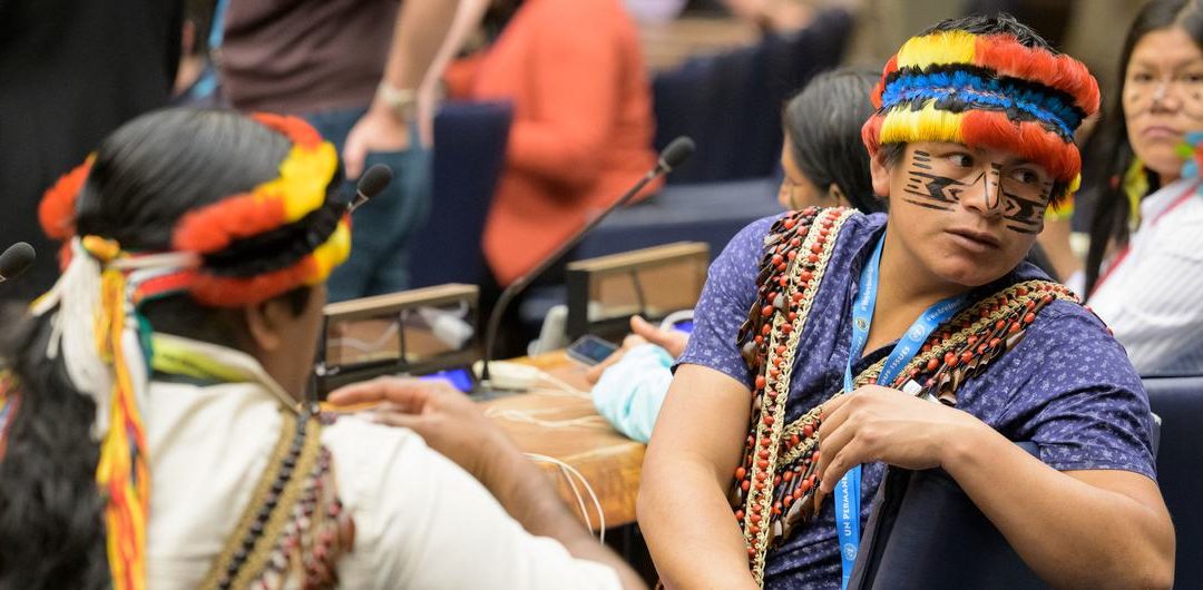 ONU: La visión indígena sobre la salud humana y planetaria debe estar en el centro de la Agenda 2030