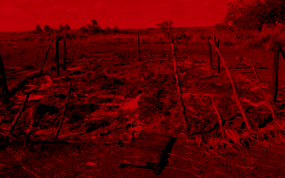 APIB: Casal de rezadores Kaiowá e Guarani morrem carbonizados em incêndio criminoso