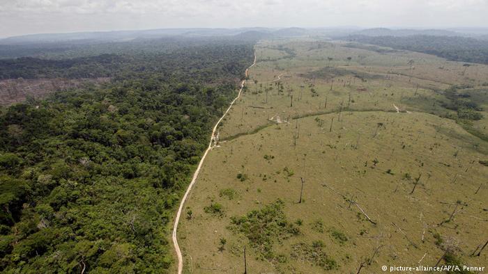 AMAZÔNIA NOTÍCIA E INFORMAÇÃO: Monitoramento do desmatamento da Amazônia é ameaçado por corte no orçamento