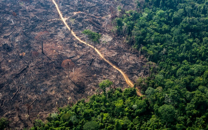 Desmatamento cresce 32% nas Terras Indígenas da Amazônia brasileira, aponta ISA