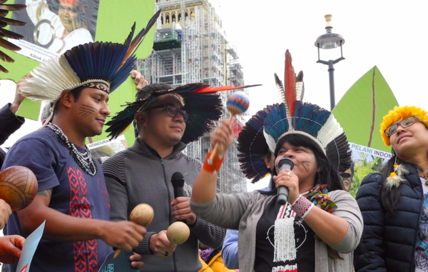 COP 23: Survival pede maior presença indígena na conferência climática