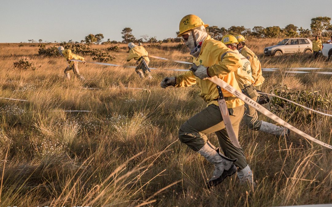 MMA: Medida provisória fortalece gestão de UCs