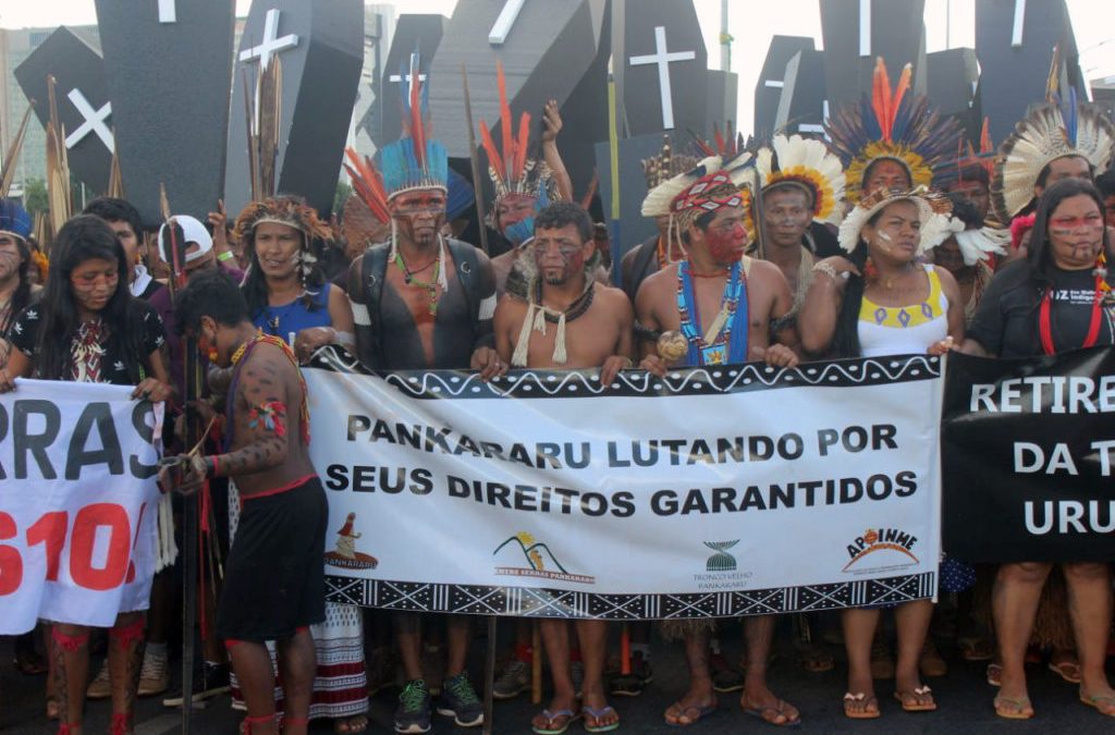 AMAZÔNIA REAL: Desintrusão de não-índios sofre retrocesso no território Pankararu