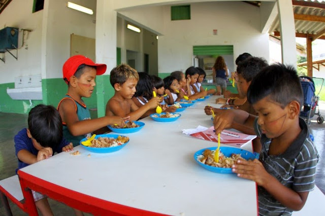 CPI-SP: Estudos evidenciam problemas na alimentação escolar em Terras Indígenas em São Paulo
