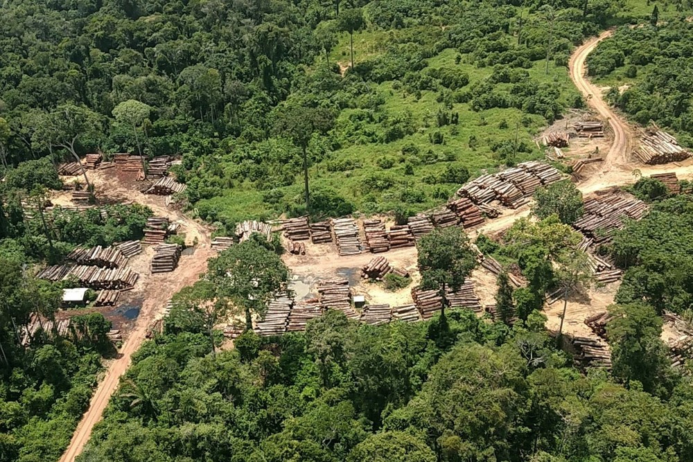 AMAZÔNIA – Notícias e Informações sobre a Amazônia Legal: Desmatamento em ‘terra de ninguém’ na Amazônia sobe para média de 11,5%