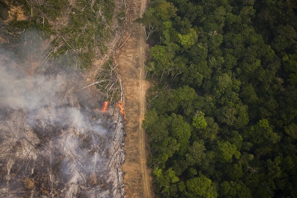 Greenpeace: Para especialistas, zerar o desmatamento é possível. E urgente