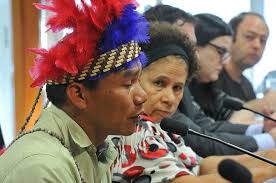 SENADO: Promoção da autonomia dos povos indígenas é dever do Estado, afirmam debatedores