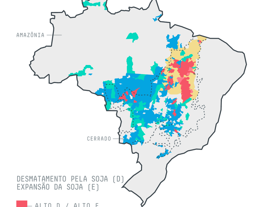 GREENPEACE: Relatório conecta gigantes do agronegócio ao desmatamento no Cerrado