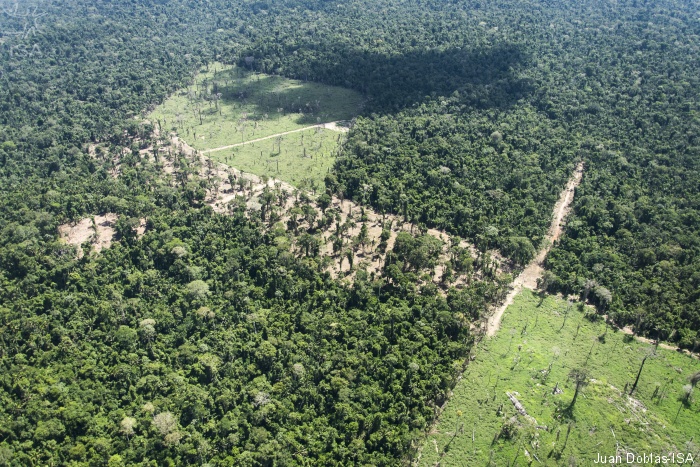 ISA: Sem bases de proteção, insegurança em Terras Indígenas afetadas por Belo Monte aumenta