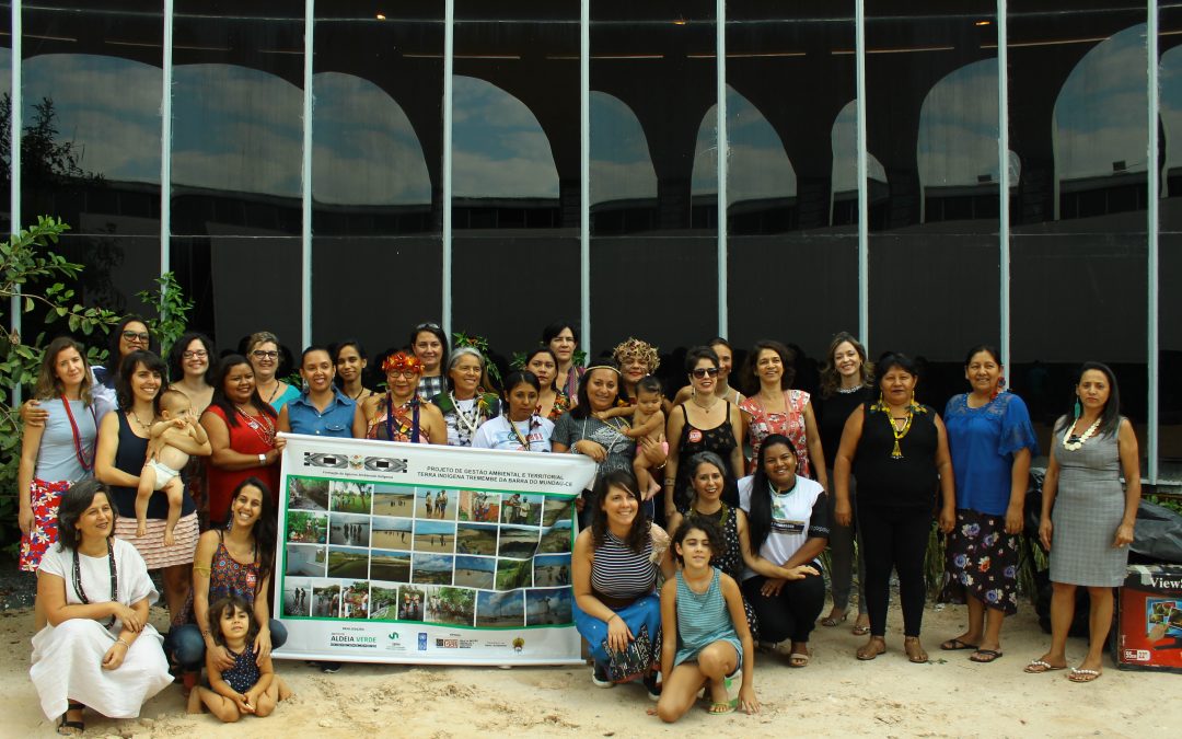 FUNAI: Carta dos Povos Indígenas do Cerrado e da Caatinga – Desafios para a Gestão Ambiental e Territorial das Terras Indígenas