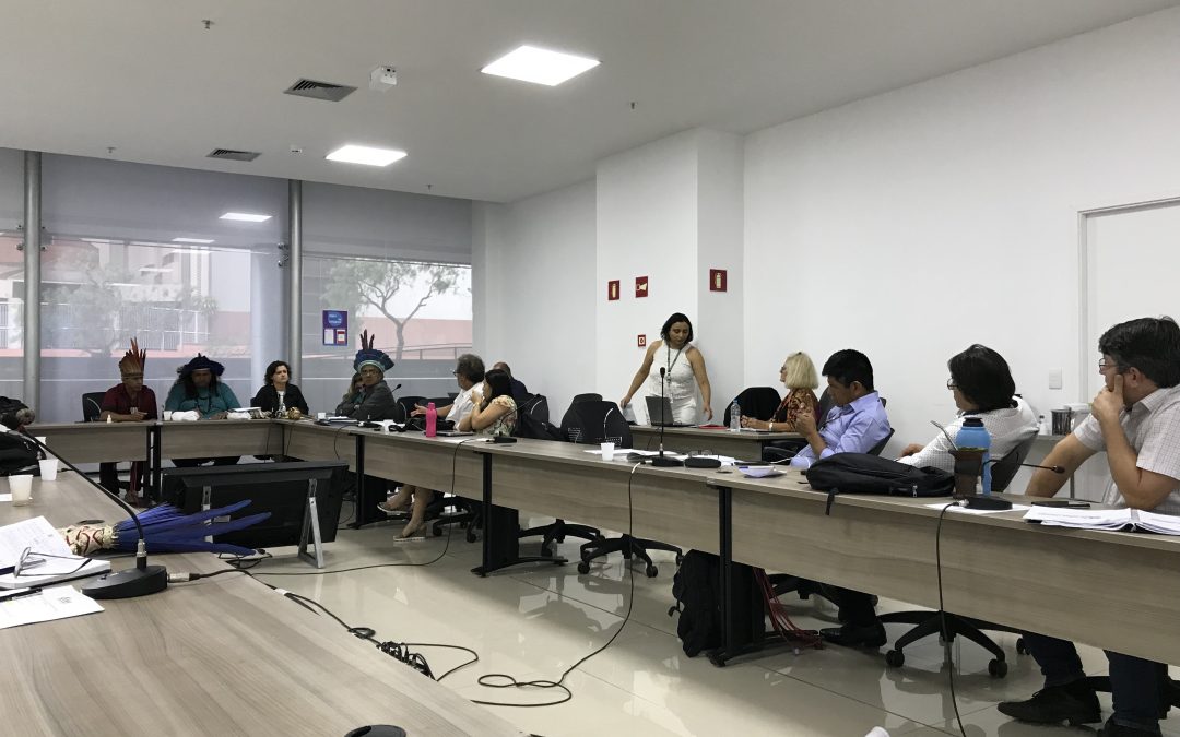 SESAI: Comissão Organizadora da Conferência Nacional se reúne em Brasília
