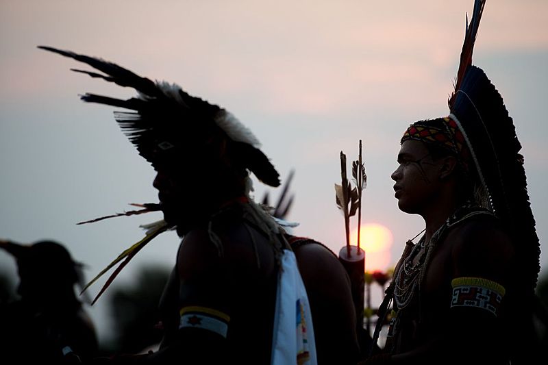 Amazônia Notícia e Informação: PSOL questiona PL sobre mineração em terra indígena: “É inconstitucional”