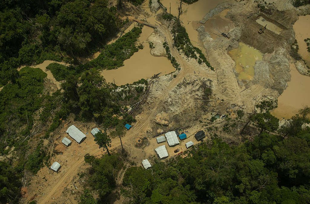 GREENPEACE: Projeto do governo desrespeita a Constituição e libera exploração em Terras Indígenas