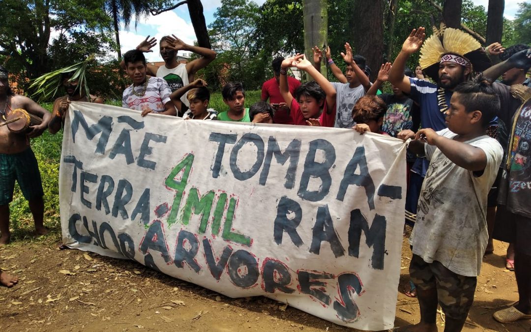 REDE BRASIL ATUAL: Indígenas acusam construtora de planejar derrubar 4 mil árvores ao lado de aldeias