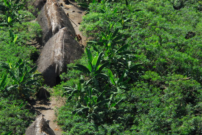 CPI – ACRE: Mais uma ameaça contra os povos indígenas isolados e de recente contato