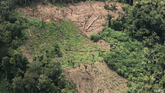 ISA: Novo estudo faz balanço geral do estoque de carbono na Amazônia