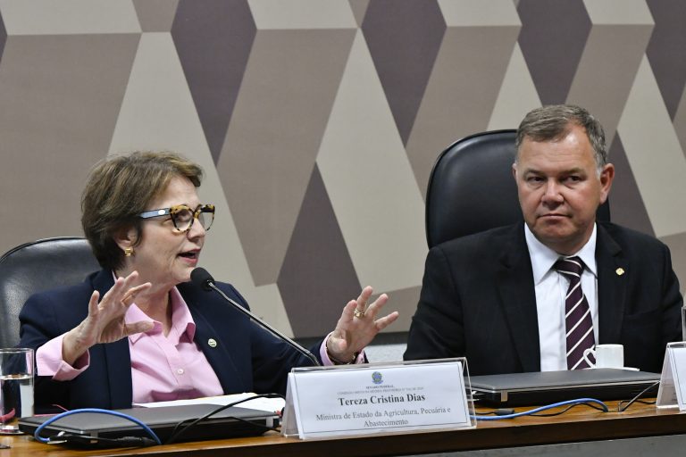 MAPA: Medida Provisória garante modernização e segurança para a regularização fundiária, diz ministra