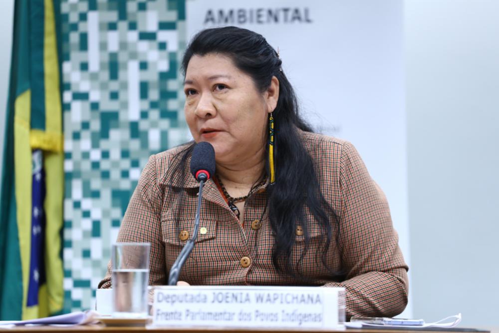 AGÊNCIA PÚBLICA: Joenia Wapichana: “Governo deve combater violações em terras indígenas antes de propor mineração”