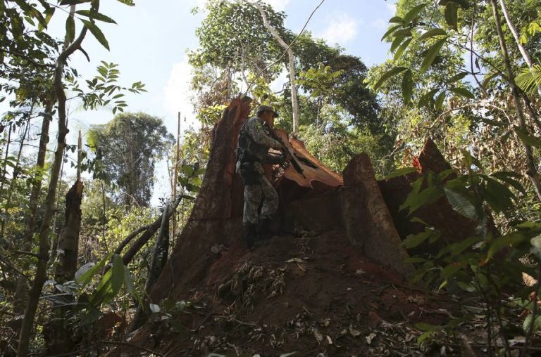 AMAZÔNIA NOTÍCIA E INFORMAÇÃO: AGU cobra R$ 1,3 bilhão por desmatamento na Amazônia Legal