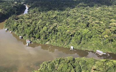 BRASIL DE FATO: Presidente da Funai recua e revoga liberação para acesso a indígenas isolados