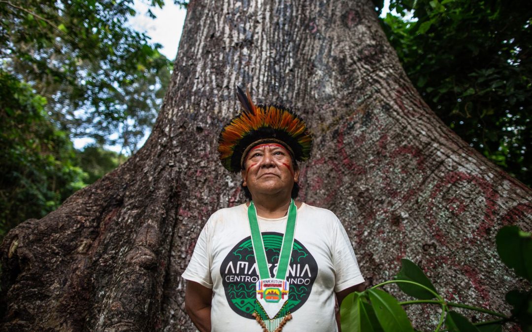 AMAZÔNIA NOTÍCIA E INFORMAÇÃO: Davi Kopenawa: “Os garimpeiros, sem dúvida, vão matar os índios isolados na área Yanomani”