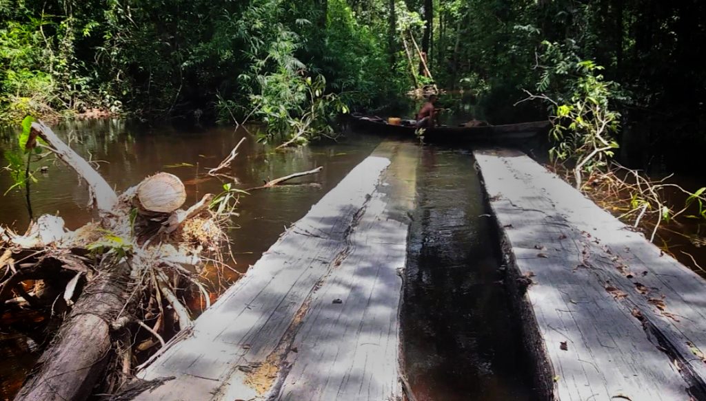 AMAZÔNIA REAL: Ramal ilegal a partir da rodovia BR-319 invade Reserva Extrativista e ameaça Terra Indígena