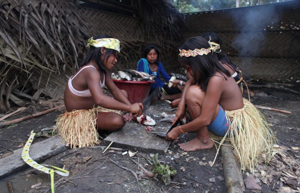 CIMI: Indígenas temem proliferação de coronavírus com entrada ilegal de evangélicos na TI Vale do Javari