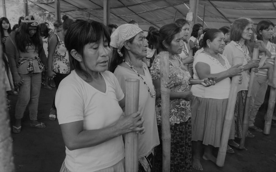 INA: Pandemia anti-indígena: Funai atua contra os direitos territoriais guarani e anula Terra Indígena
