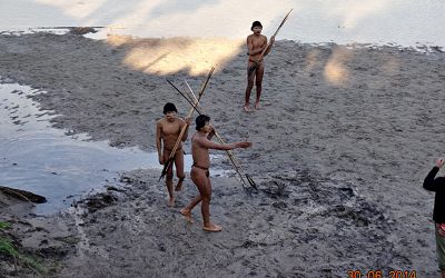 BRASIL DE FATO: Contra regra interna, Funai libera acesso a indígenas isolados por causa da covid-19
