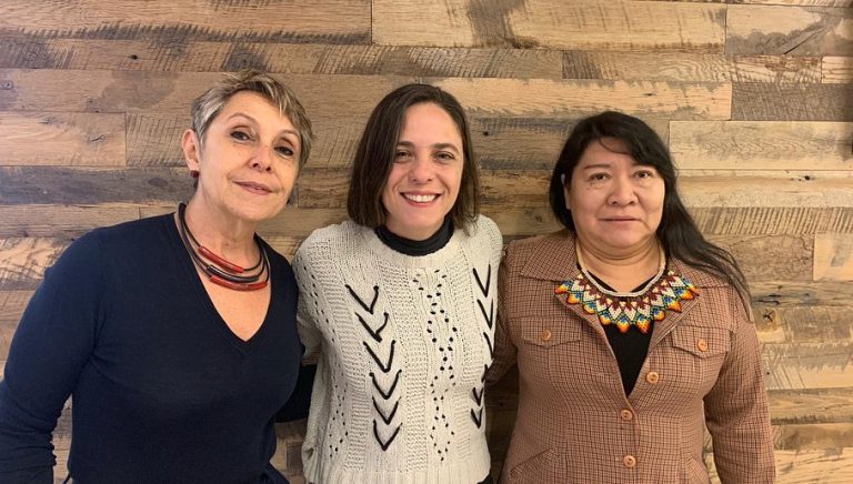 CÂMARA: Deputadas levam pautas de direitos humanos ao Congresso dos EUA