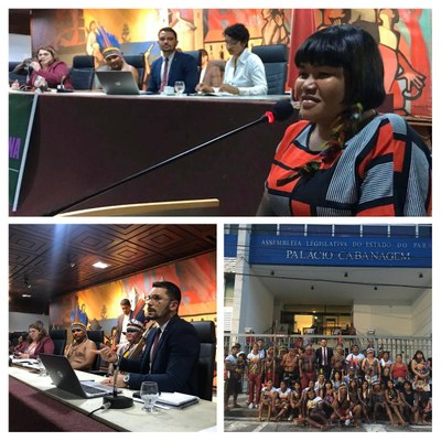 MPF: MPF defende garantia da educação escolar indígena de qualidade no Pará em sessão especial da Assembleia Legislativa