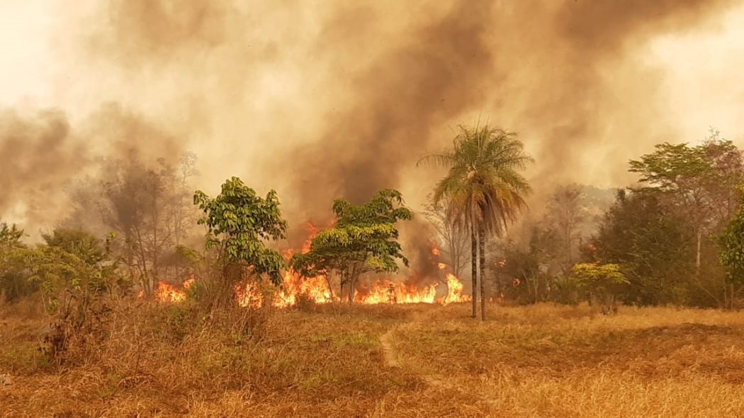 CIMI: “O futuro do povo Apyãwa está em risco”: invasões e queimadas devastaram TI Urubu Branco em 2019
