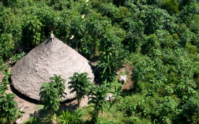 FUNAI: Atendimento a índios isolados dependerá de avaliação prévia de órgão técnico da Funai