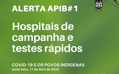 APIB: Alerta APIB #01