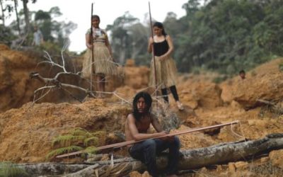 AMAZÔNIA NOTÍCIA E INFORMAÇÃO: Pandemia vai permitir aceleração do desmatamento na Amazônia, prevê consultoria