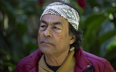 FOLHA DE SÃO PAULO: ‘Qualquer prefeito tem mais poder que a ONU’, diz líder indígena Ailton Krenak