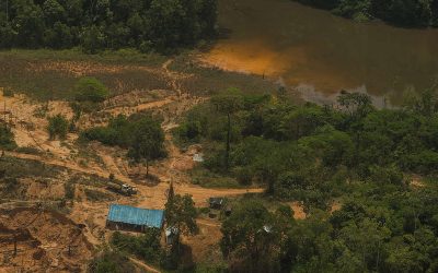 GREENPEACE: Grileiros, madeireiros e garimpeiros não fazem home office