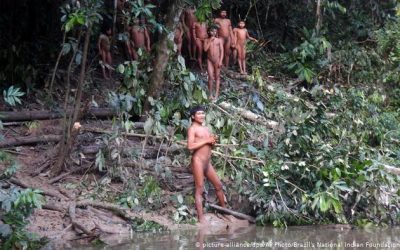AMAZÔNIA NOTÍCIA E INFORMAÇÃO: Na Amazônia, avanço da covid-19 e invasões ameaçam indígenas