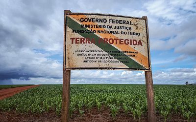 BRASIL DE FATO: Researcher: each trespasser on indigenous land can lead to 1,600 covid-19 cases