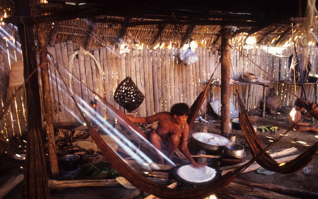 AMAZÔNIA REAL: Coronavírus: O que podemos aprender com um xamã da Amazônia? Parte 1: invasão e mortes na Terra Yanomami