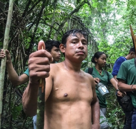 AMAZÔNIA REAL: “Foi assassinato, não foi acidente”, diz família de Ari Uru-Eu-Wau-Wau, morto em Rondônia