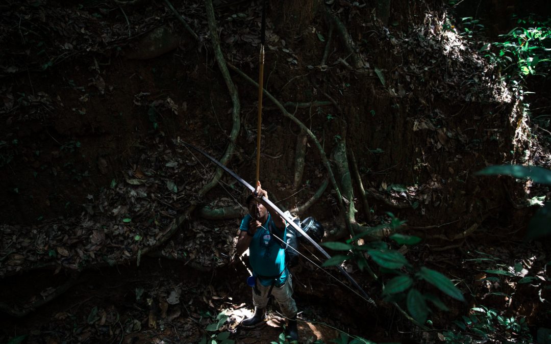 AMAZÔNIA REAL: Para escapar do coronavírus, Yanomami se refugiam no interior da floresta