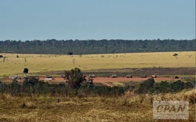 OPAN: Projeto do governo de MT amplia vulnerabilidade das terras indígenas em meio à pandemia