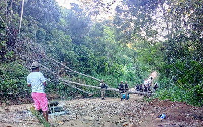 JORNALISTAS LIVRES: Proteção erguida por Tupinambas de Olivença contra coronavírus pode ser derrubada
